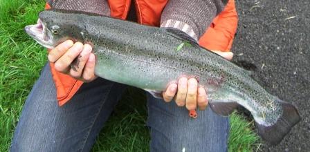 Forel gevangen